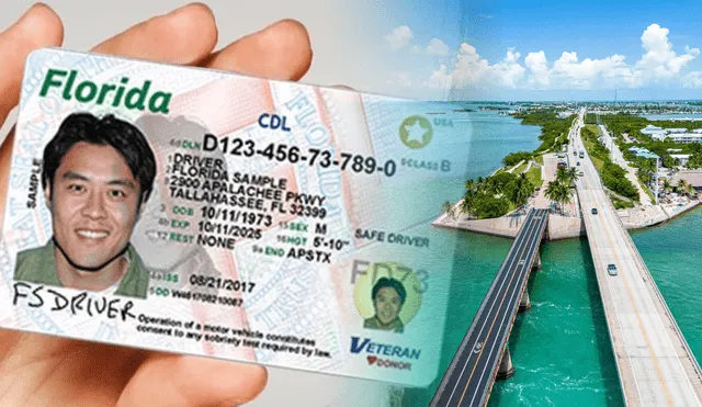 Así podrás conseguir tu licencia de conducir en Florida siendo inmigrante. Foto: composición LR/difusión