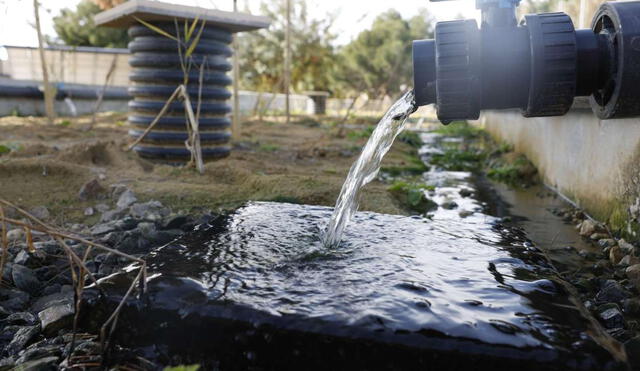 Cuando los antibióticos no se eliminan adecuadamente durante el tratamiento de aguas, pueden llegar a los ecosistemas acuáticos. Foto: institutodelagua.es