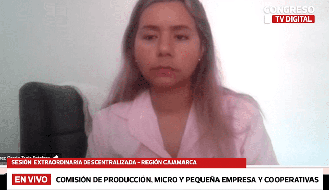 El secretario técnico defendió su decisión de calificar la sesión como "extraordinaria" y  respondió los cuestionamientos de Tania Ramírez. | Foto: Congreso TV / Youtube.