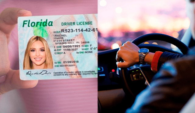 Florida ofrece una diversidad de licencias de conducir adaptadas a las necesidades de su población. Conoce los tipos disponibles para autos, motocicletas y vehículos comerciales. Foto: Unsplash / La Prensa