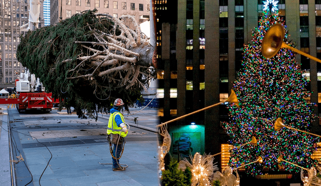 Nueva York encendió su tradicional Árbol de Navidad con más de 20 metros de altura | Foto: composición: Lr/CNN