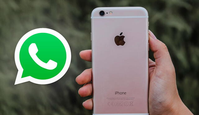 El iPhone 5s, iPhone 6 y iPhone 6 Plus se quedarán sin WhatsApp en mayo de 2025. Foto: Applesfera