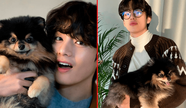 Taehyung se despide en redes sociales de su mascota Yeontan