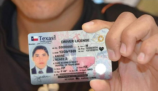 Esta licencia gratuita no es válida para licencias comerciales, solo incluye licencias personales y Real ID. Foto: 2001