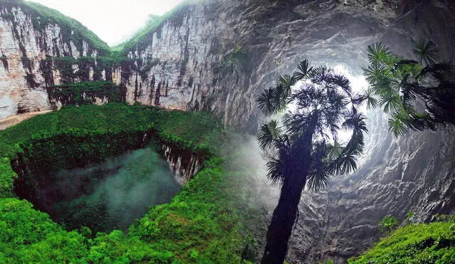 El Foso Celestial, o Xiaozhai Tiankeng, es el sumidero más grande y profundo del mundo, localizado en Chongqing, China, con hasta 662 metros de profundidad. Foto: composición LR/Cueva de Son Doong - Sơn Đoòng