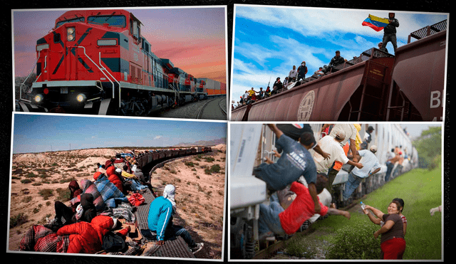 El viaje en La Bestia está marcado por riesgos físicos y situaciones traumáticas que los inmigrantes deben soportar para ingresar a Estados Unidos. Foto: composición LR/difusión