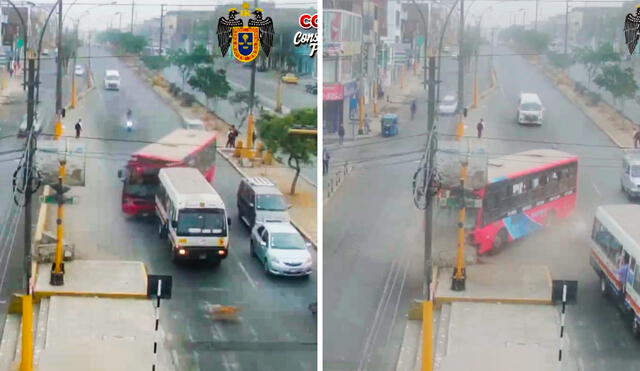 Cuatro personas que cruzaban la avenida se salvaron de morir tras el despiste del bus de El Rápido. Foto: composición LR/difusión