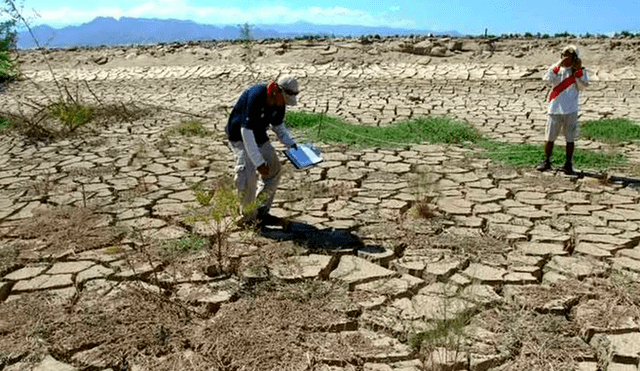 El Ejecutivo declaró en estado de emergencia a diferentes provincias en la región de Lambayeque debido a la inminente crisis hídrica/Foto: Difusión