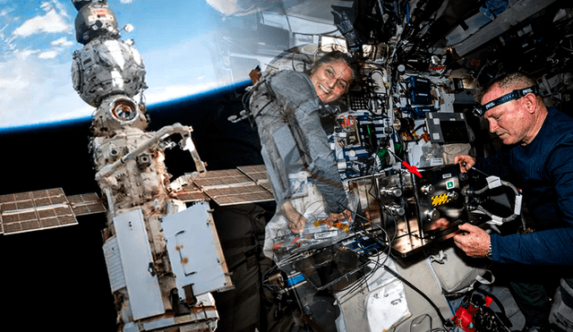 Astronautas de la NASA pasan más de seis meses en la Estación Espacial Internacional, superando expectativas iniciales que eran 7 días. Foto: composición Gerson Cardoso/LR