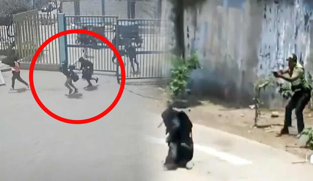 El robo en el parque zonal Cahuide fue grabado por cámaras de seguridad. Foto: composición LR/Andina