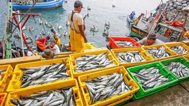 El retraso considerable de la publicación del Reglamento de la Ley 31749 por parte de PRODUCE, afecta particularmente a los pescadores artesanales.