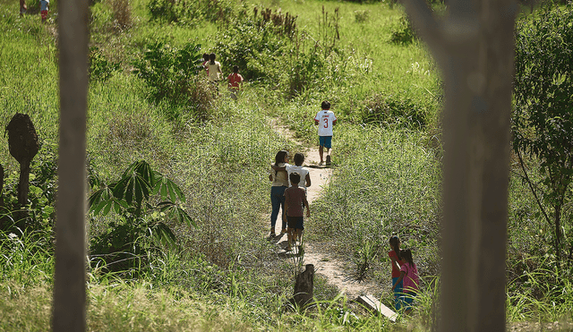 En peligro. Las comunidades kakataibo han asumido la protección de su territorio ante el avance de invasores. Foto: difusión