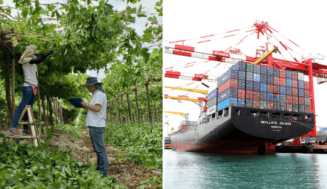 La Asociación de Exportadores informó sobre los productos de la agroindustria que lideraron las ventas al extranjero, así como los principales destinos. Foto: composición LR/Andina