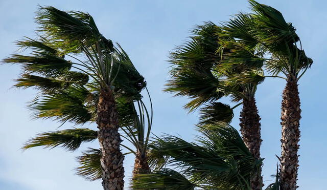 Los fuertes vientos en el sur de California son un fenómeno común, especialmente durante estas épocas del año.Foto: Excelsior California