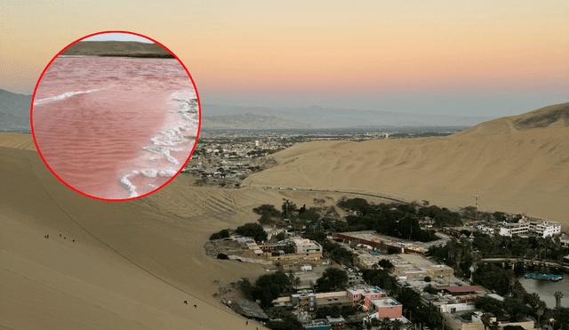 Huacachina y Laguna Rosada en el sur de Perú. Foto: composición LR/Pexels/captura de pantalla gringo.locos/TikTok