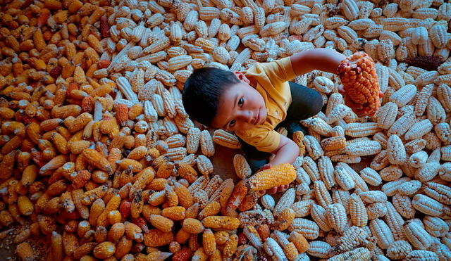 “Suficiente” busca frenar el hambre junto con el Estado, el sector privado y la sociedad civil. Foto: World Vision