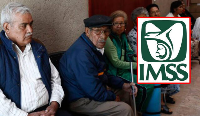 El pago de la pensión IMSS para jubilados y pensionados se puede verificar en el buzón IMSS. Foto: composición LR/ X