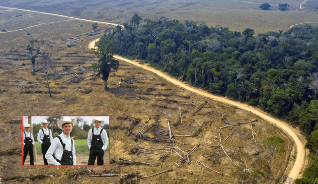 La deforestación en la Amazonía es un problema común que hasta la fecha no se ha podido resolver. Foto: composición LR/PUCP/QPASA