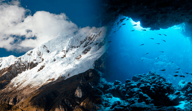 Javier Sellanes, oceanógrafo que formó parte de la expedición, comentó que las cadenas montañosas submarinas podrían competir en tamaño con la Cordillera de los Andes. Foto: Composición LR.