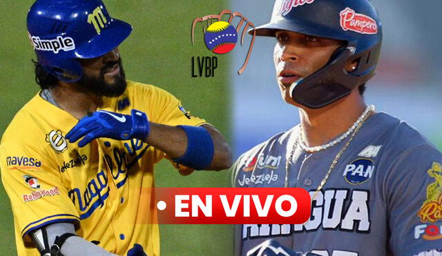 El juego de Magallanes vs Tigres será el quinto de la serie particular entre ambos. Foto: composición LR / Magallanes BBC / BeisbolPlay