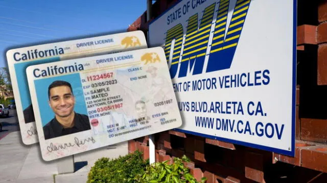 Actualiza tu licencia comercial en EE. UU. a una Real ID antes de mayo de 2025. Sigue esta guía paso a paso para cumplir con los requisitos federales.. Foto: Univisión