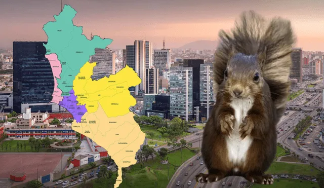 Las ardillas en Lima, aunque no son especies autóctonas de la región, se han convertido en una presencia curiosa en algunos espacios urbanos y áreas verdes. Foto: composición LR/Perú Travel