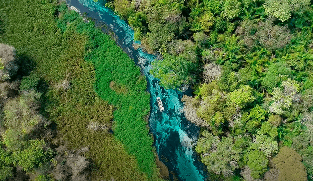 El río cristalino se origina gracias las fuentes subterráneas y al filtrado natural de las aguas a través de rocas calcáreas. Foto: Captura