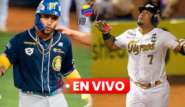 Magallanes vs Tigres disputarán su última serie de 2 partidos por la fase regular 2024-25. Foto: Magallanes BBC / LVBP