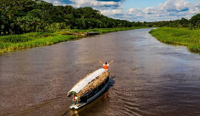 La Amazonía peruana es una de las áreas con mayor biodiversidad y endemismos del planeta. Foto: Andina