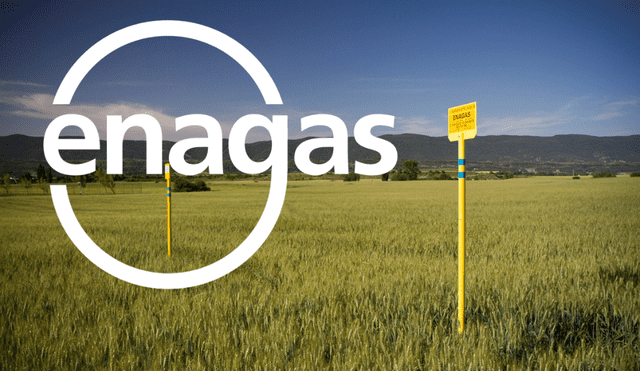 Enagas