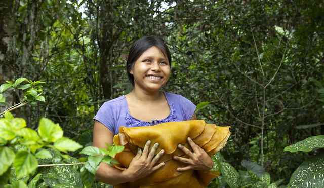 Caxacori Studio produce biocuero a partir del latex que comunidades awajún de Amazonas extraen del árbol de la shiringa o caucho.  Foto: Caxacori Studio