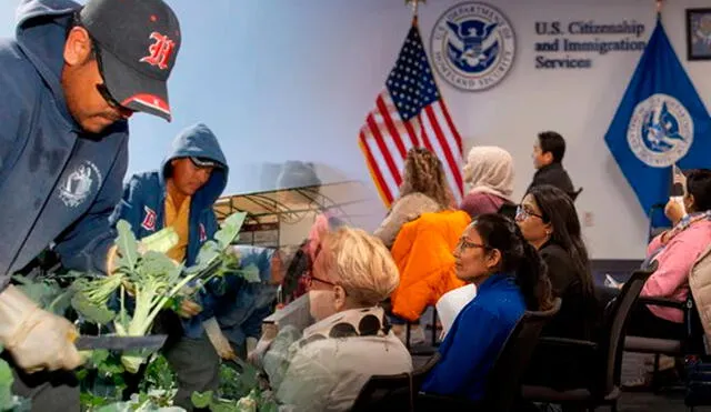 Los trabajadores inmigrantes tendrán nuevos beneficios en Estados Unidos. Foto: composición LR/AFP