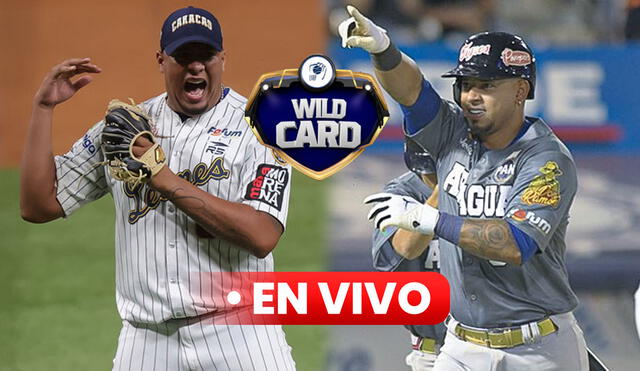 El juego de Leones vs Tigres se disputará en el Estadio José Pérez Colmenares. Foto: composición LR / LVBP