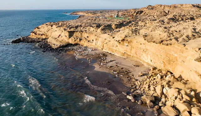 Petroperú informó que más de 350 personas vienen realizando labores de limpieza en la playa Las Capullanas. Crédito: Nicolás Landa.