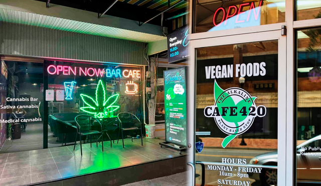 California permitirá la apertura de cafés de cannabis desde 2025, inspirándose en el modelo de Ámsterdam. Foto: Smoking Skunk / Oklahoma City