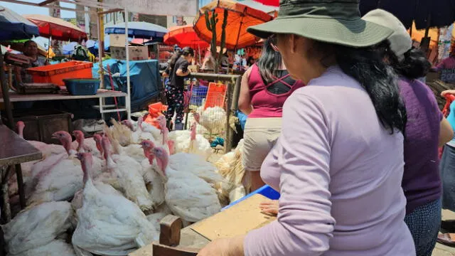 El pavo se puede descongelar de diversas maneras: en refrigerador, agua fría o microondas. Foto: Cristina Gálvez/La República