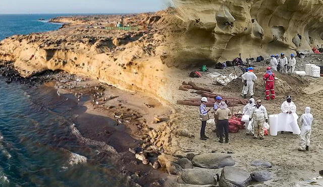 Un derrame de petróleo en la refinería Talara de Petroperú ha generado una crisis ambiental severa, afectando cinco playas y causando la muerte de fauna marina. Foto: Nicolás Landa/Canal N