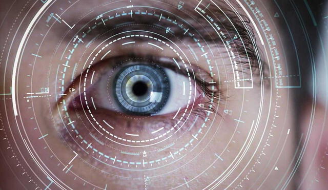 VisionFM se ha demostrado tan preciso como médicos intermedios en la detección de enfermedades oculares, incluyendo retinopatía diabética y glaucoma, mejorando el rendimiento en aspectos específicos. Foto: SHUTTERSTOCK