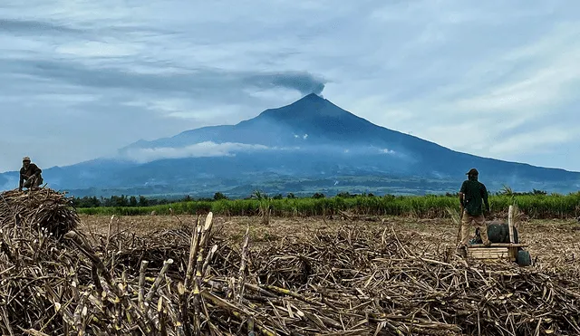 La ciudad en Filipinas decidió suspender las festividades para priorizar la seguridad ante la actividad volcánica. Foto: AFP.