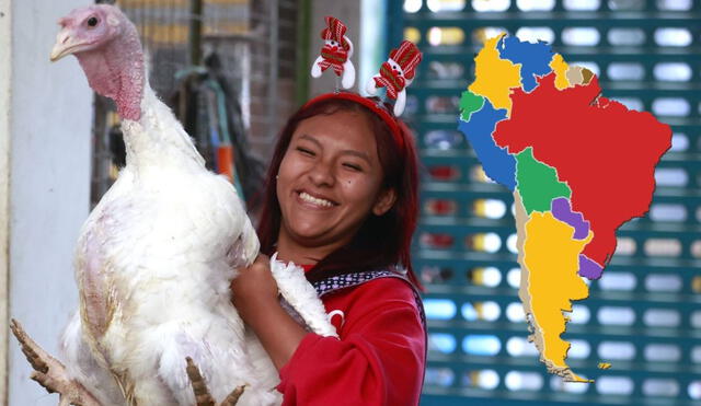 Este año, las exportaciones de pavo peruano aumentaron un 38,2% respecto al año pasado, según Adex. Foto: Andina/LR