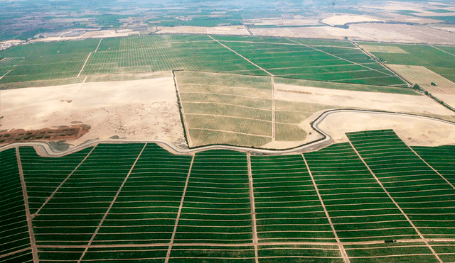 China incluirá la implementación de sistemas de riego presurizado y transferencia marcando un paso importante hacia la sostenibilidad agrícola en la región. Foto: Majes Siguas II