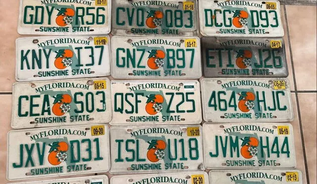 Las matrículas personalizadas se han popularizado en Florida, pero no todas las combinaciones son permitidas. Foto: eBay