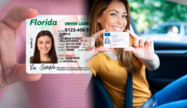 Real ID en Florida 2025 para inmigrantes | Foto: Lr/CNN