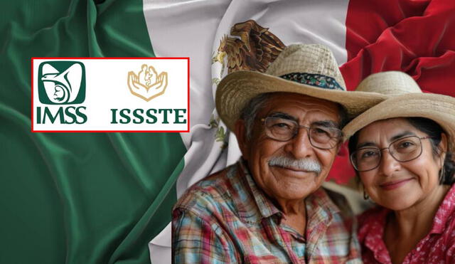 El IMSS y el ISSSTE son instituciones mexicanas dirigidas a los trabajadores del sector privado y público, respectivamente. Foto: composición LR/Freepik