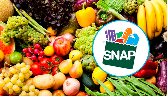 Los límites de ingresos de SNAP varían según el tamaño del hogar. Por ejemplo, un hogar de 1 persona tiene un ingreso bruto máximo de $1,473, mientras que para 8 personas, el límite es de $5,052.