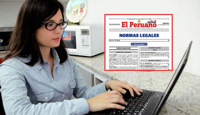 La Ley que modifica la edad límite para trabajar en el Estado fue publicada en El Peruano el 17 de diciembre. Foto: Andina