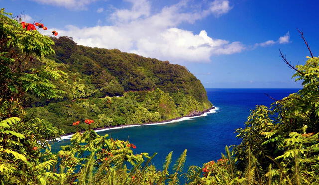 Esta isla es un destino hermoso y con una gran variedad de paisajes naturales en USA. Foto: CDN