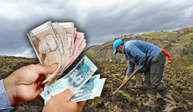 Midagri ofrece un bono especial para los agricultores que perdieron cultivos en desastres. Foto: composición LR/Andina