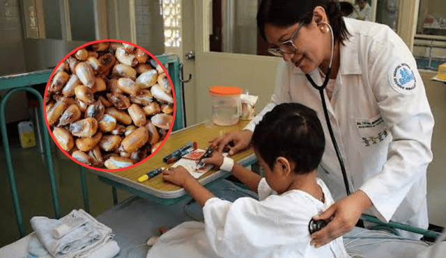 Niño su auxiliado por doctores especializados. Foto: Andina