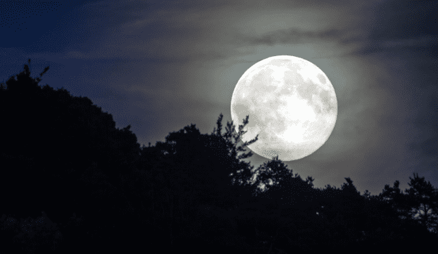 La luna llena de enero es conocida como Luna de lobo. Foto: Pixabay